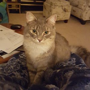 Meet your Posher, Betsy